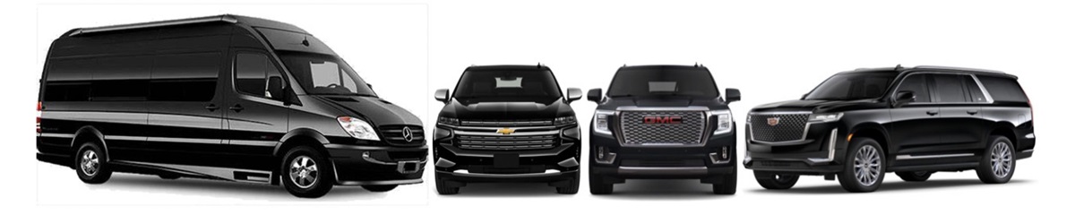 Albert Luxury Limo - Fleet
