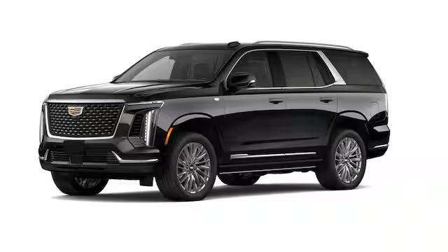 Escalade - Albert Luxury Limo4