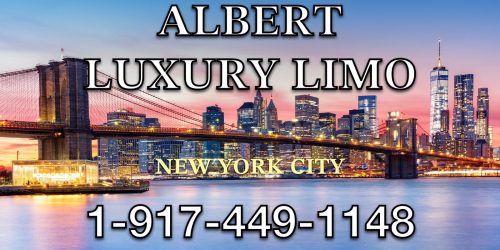 Albert Luxury Limo - Banner
